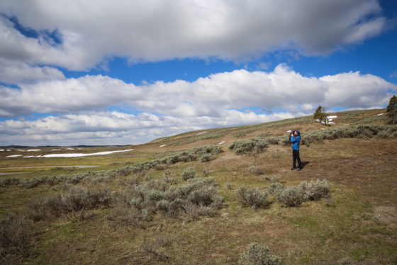 Christian in Yellowstone (by Katalin Hanappi)